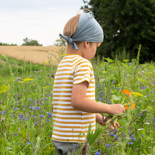 Wunschbrunnen Ringelshirts