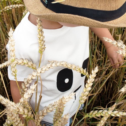 Wunschbrunnen Shirts